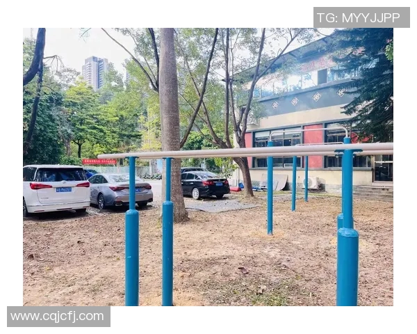 创新户外体育健身器材厂助力全民健身提升生活品质与健康水平